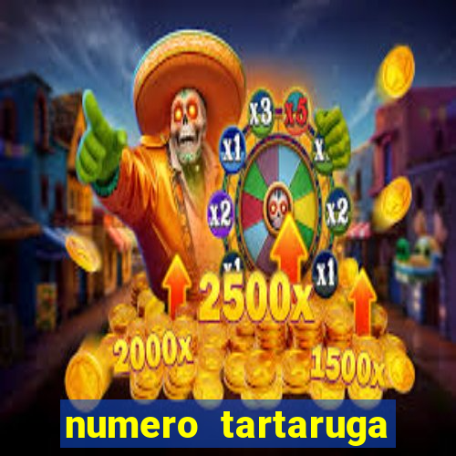 numero tartaruga jogo do bicho